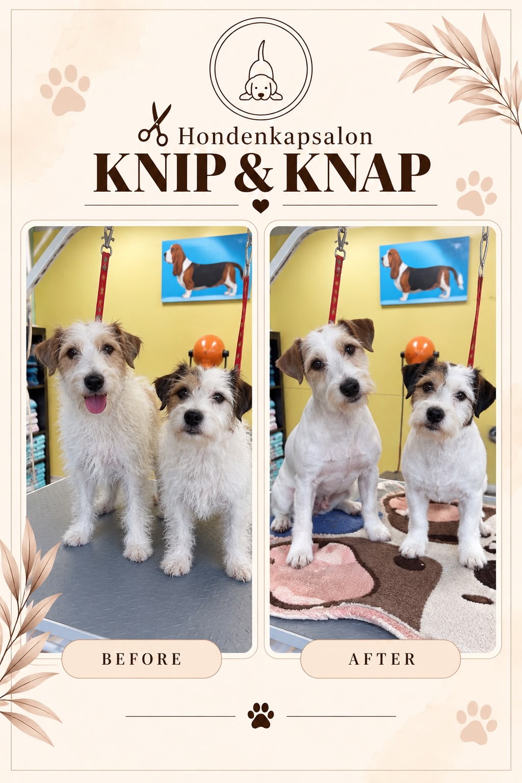 Hond na een behandeling bij Hondenkapsalon Knip en Knap (foto 1)