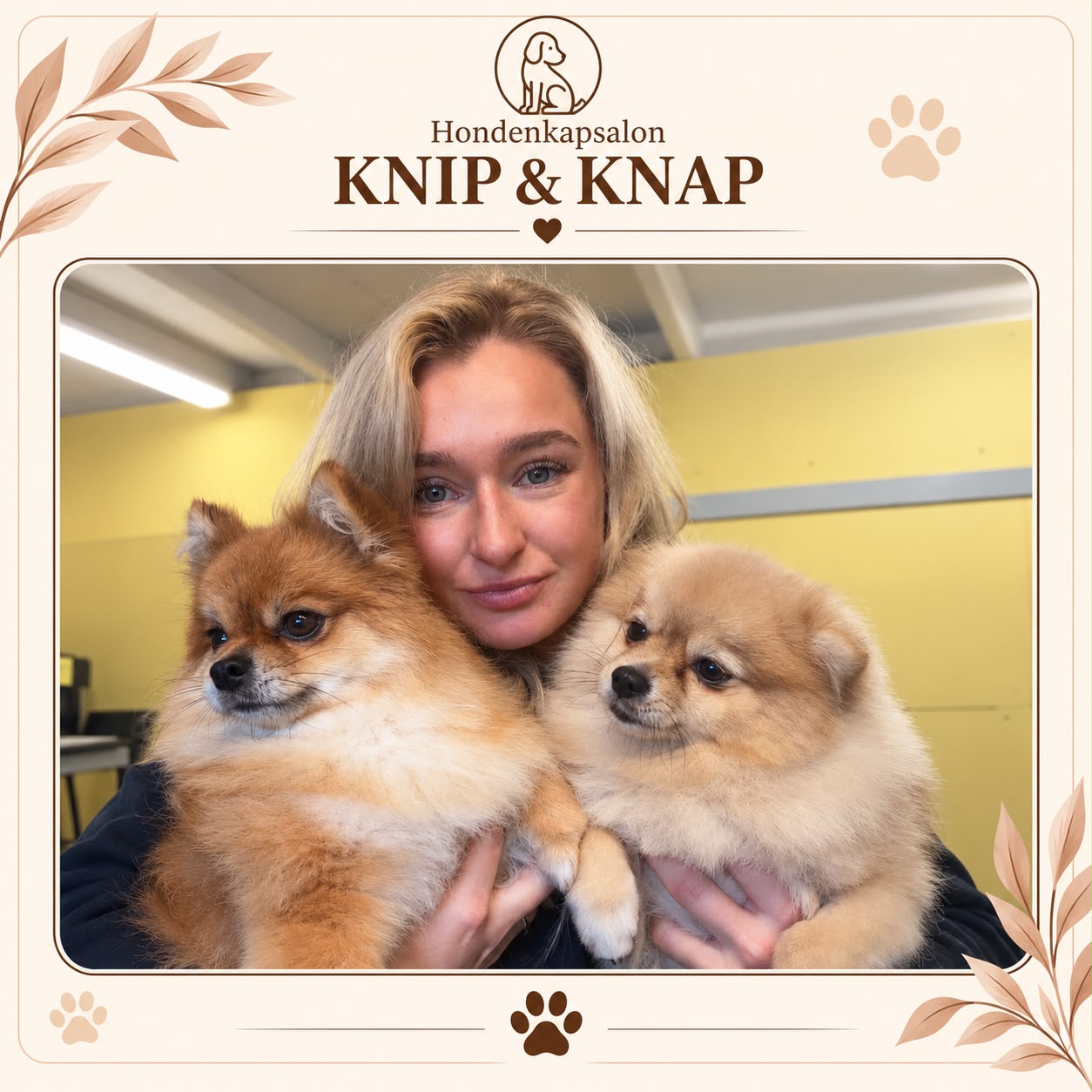 Hond na een behandeling bij Hondenkapsalon Knip en Knap (foto 2)