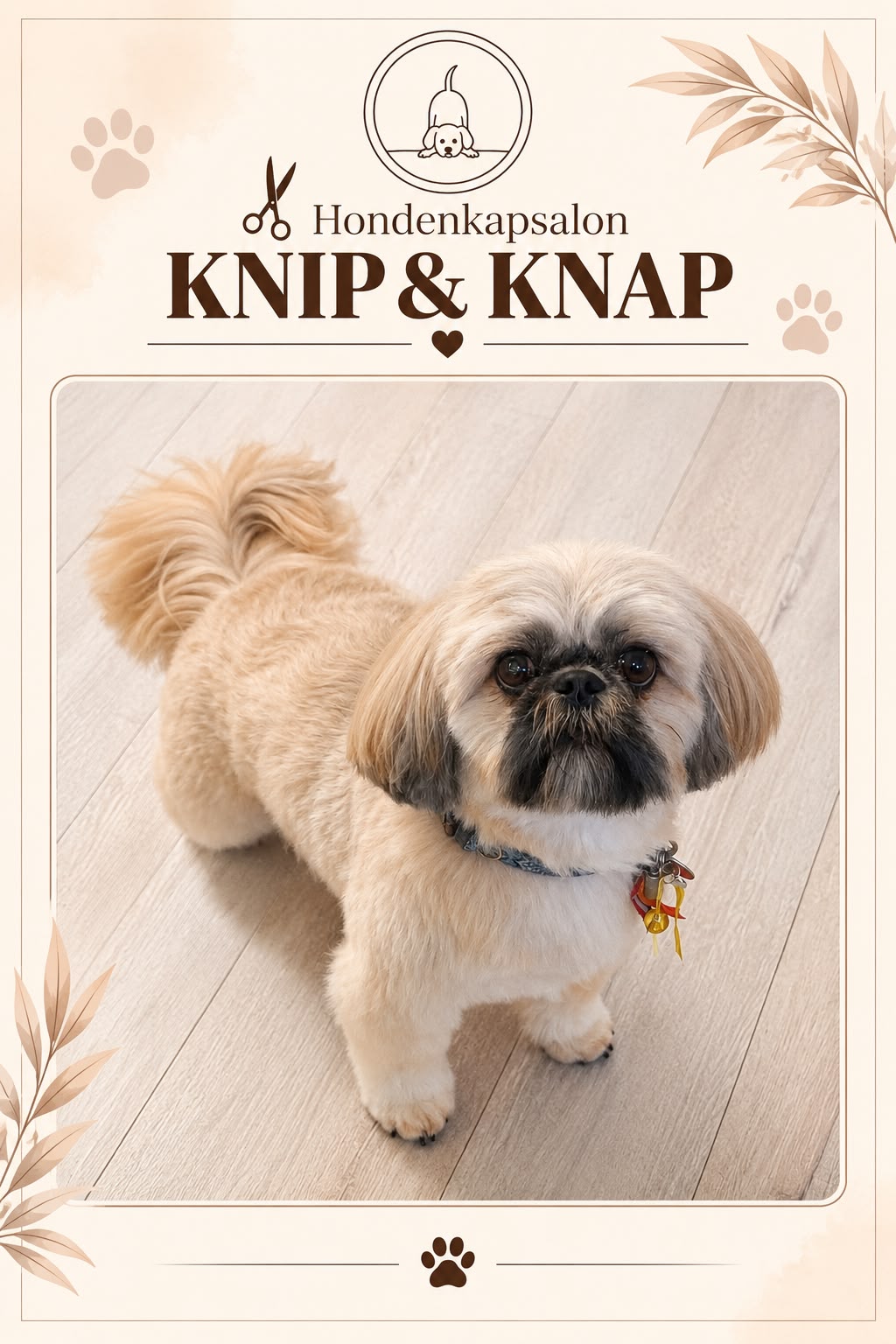Hond na een behandeling bij Hondenkapsalon Knip en Knap (foto 11)
