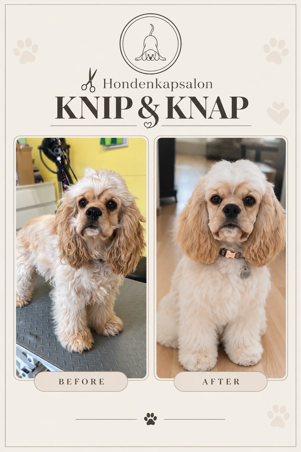 Hond na een behandeling bij Hondenkapsalon Knip en Knap (foto 21)