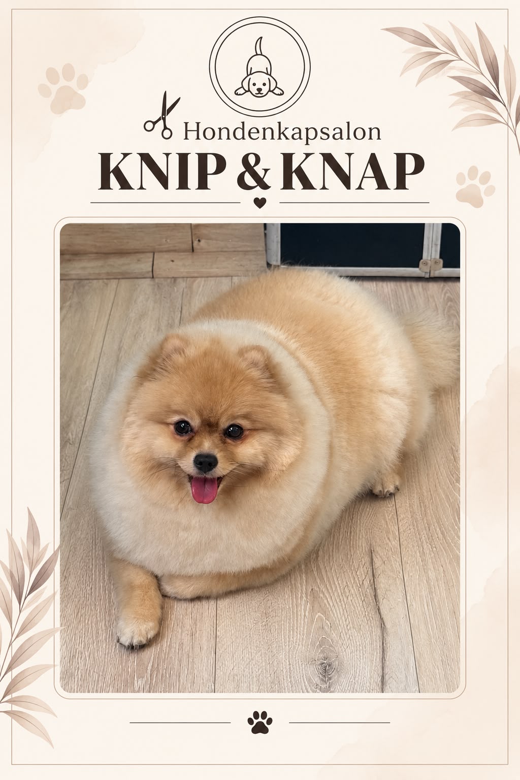 Hond na een behandeling bij Hondenkapsalon Knip en Knap (foto 13)