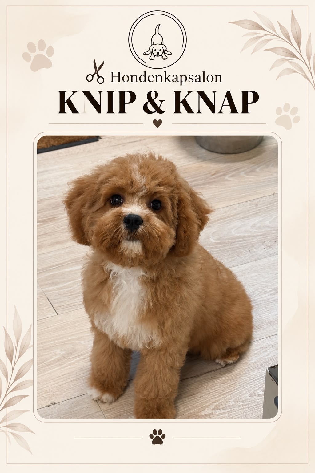 Hond na een behandeling bij Hondenkapsalon Knip en Knap (foto 15)