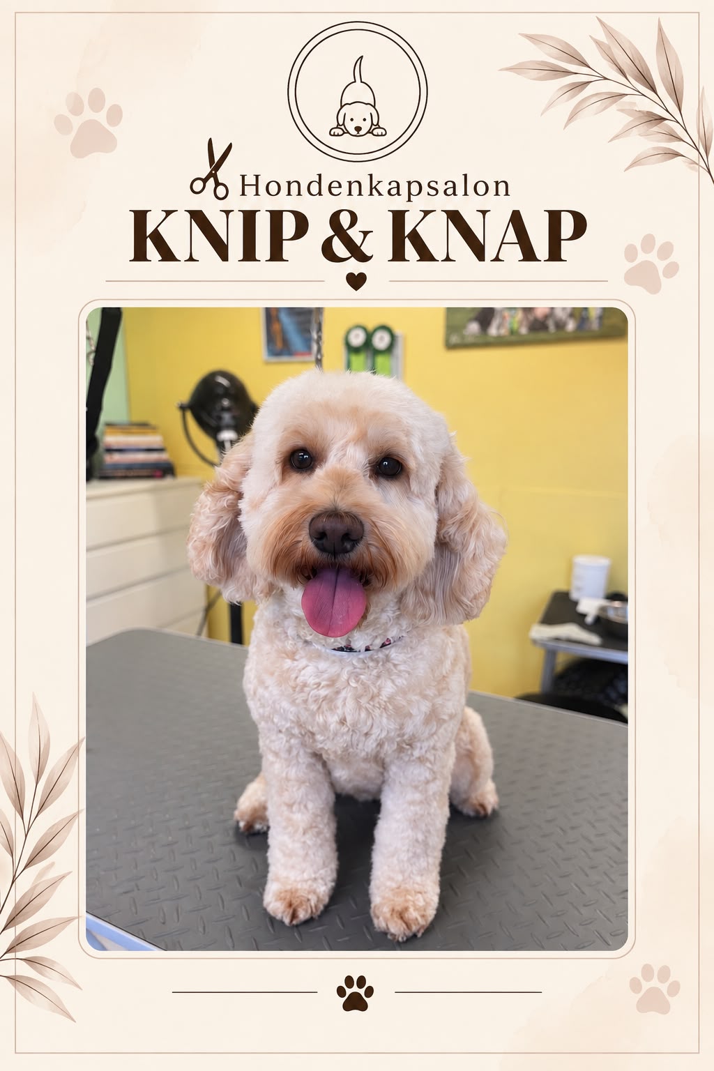 Hond na een behandeling bij Hondenkapsalon Knip en Knap (foto 22)
